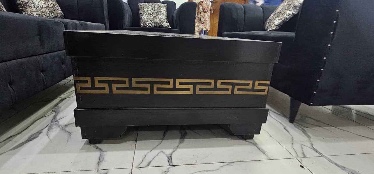 black velvet sofaa 5