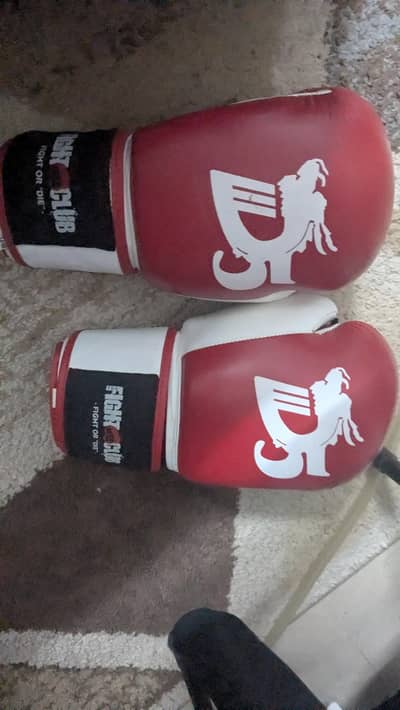 high quality Velcro boxing gloves 12 oz