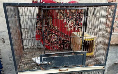 Raw bird cage for sale