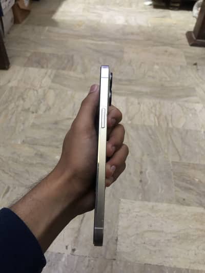 I phone 12 pro max pta approved