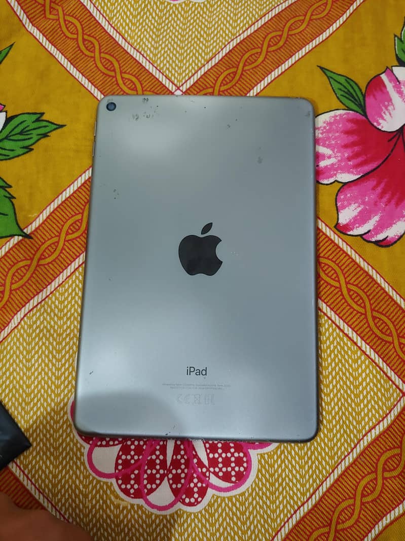 IPAD MINI 5 SPEARS 1