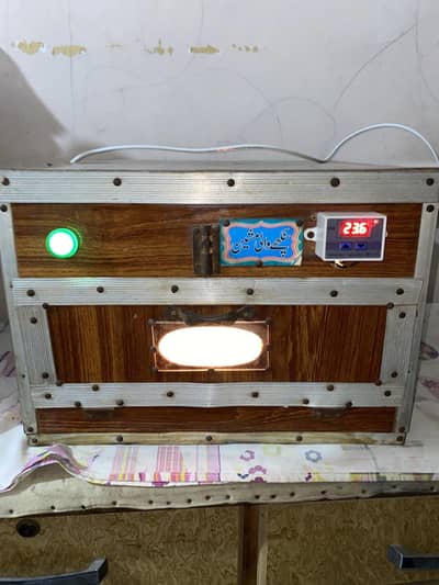 best incubator for sale