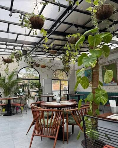 Cafe Staff & Chef Male/Female