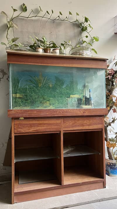 Fish Aquarium with a wooden stand - with decore