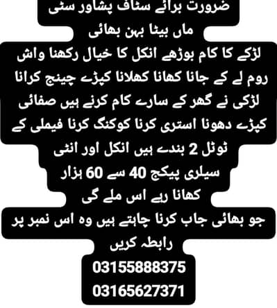 ہمیں پشاور سٹی میں گھر کے کام کے لیے ملازمین کی ضرورت ہے