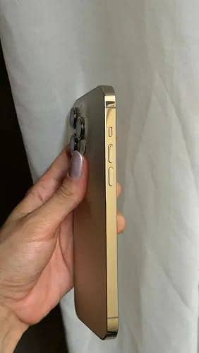 iphone 14 pro max 2
