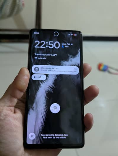 google pixel  official pta approve