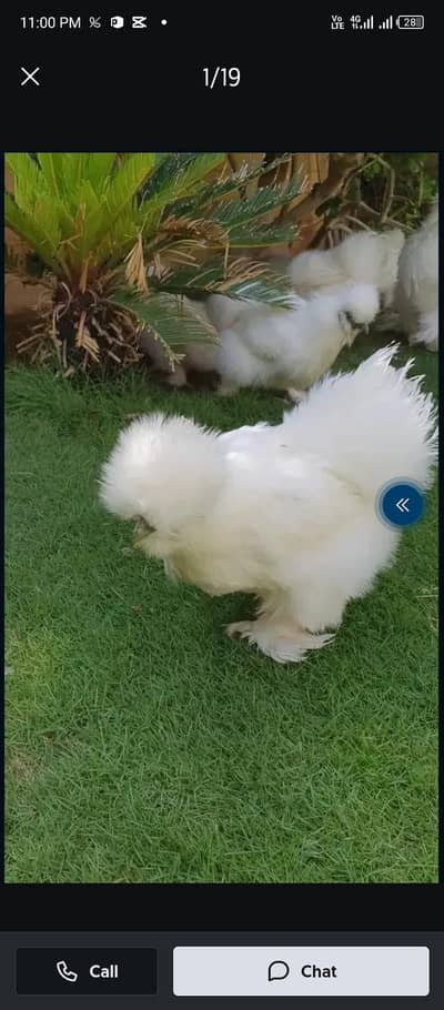 jis ko chaiye Sirf Wohi rabta kre pllz