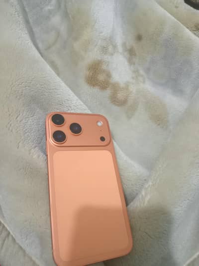 whatsapp number 03244915185