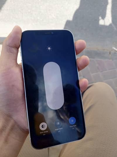 12 pro max nonpta fu