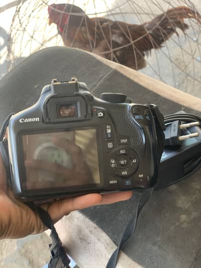 Camon 1300d camera