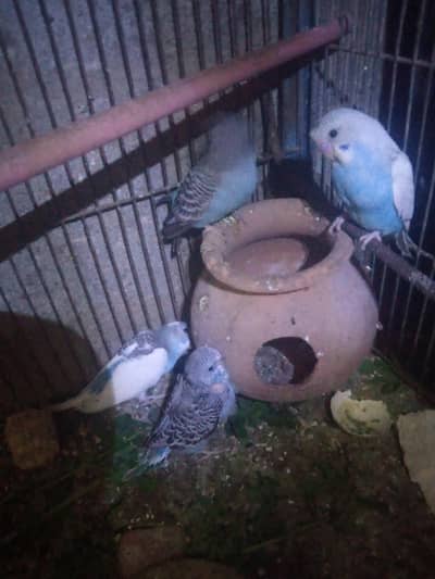 3 ustailion toty Han pathy. 03122842737