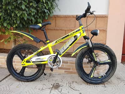 BEGOOD imported cycle - 20 size - 0320-2257-271