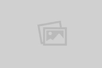 Male Cat For free Matting