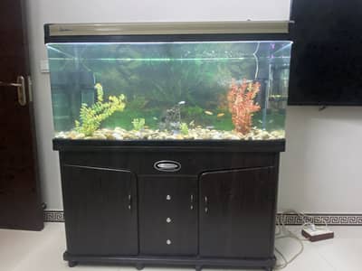 Minijing imported fish tank aquarium 4feet