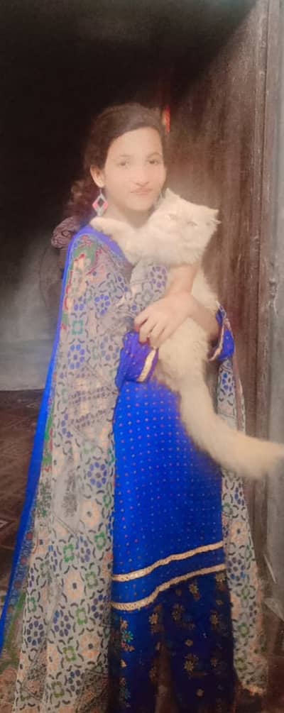 Prcion brown age 1 year