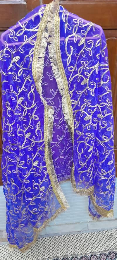 lehenga colour pink, ink blue, green. ghota + mirror work. Shirt