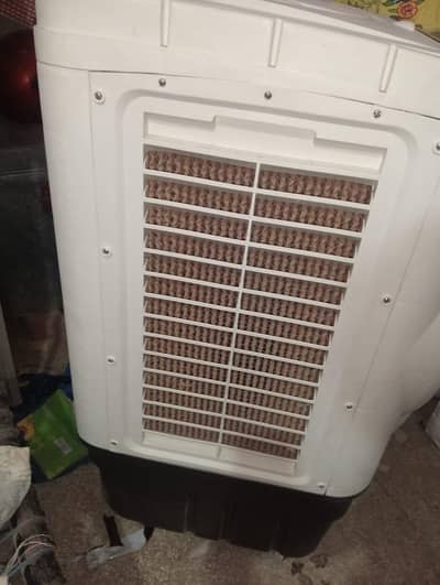 very good and neet condition only 2 month use in 2025.  lush condition