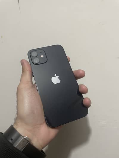 I phone 12 pta approved