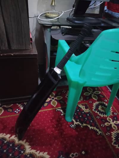 Cricket Bat