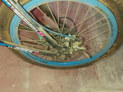 Apple company ki cycle ha