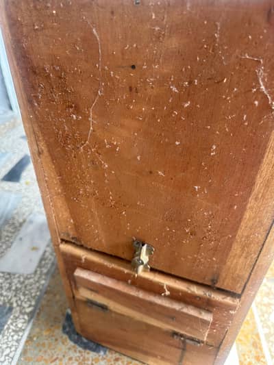 wooden box for kashmiri parrot