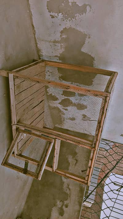 cage for peigion, parrot, hen