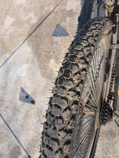 Roman BIKE suspension bicycle