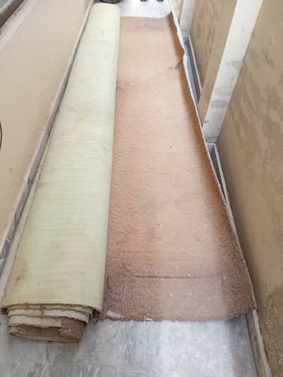 Old synthetic carpet