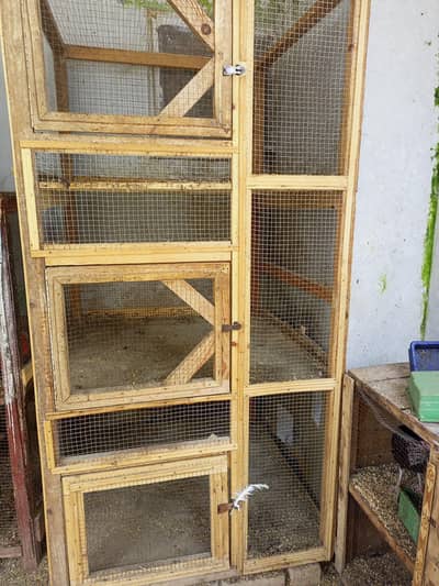 Aseel Hens Cage