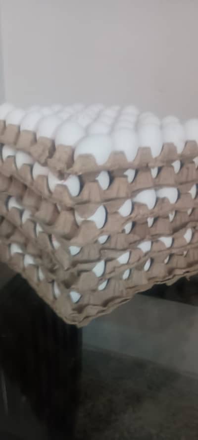 Fresh Farm Eggs – 30 pcs / Tray Home delivery in Islamabad
