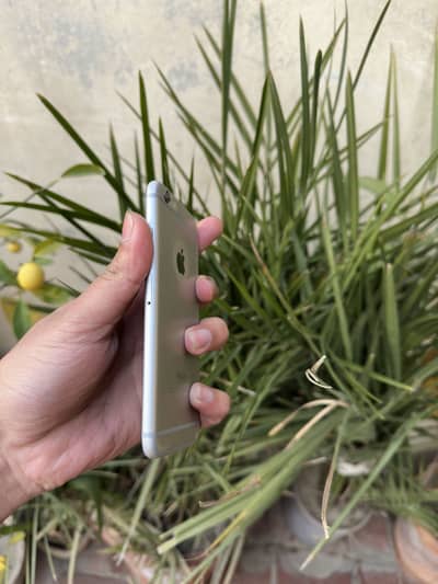 iPhone 6 non pta 64gb alll ok