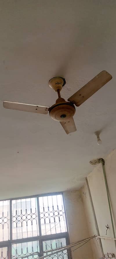one small celling fan  one normal fan