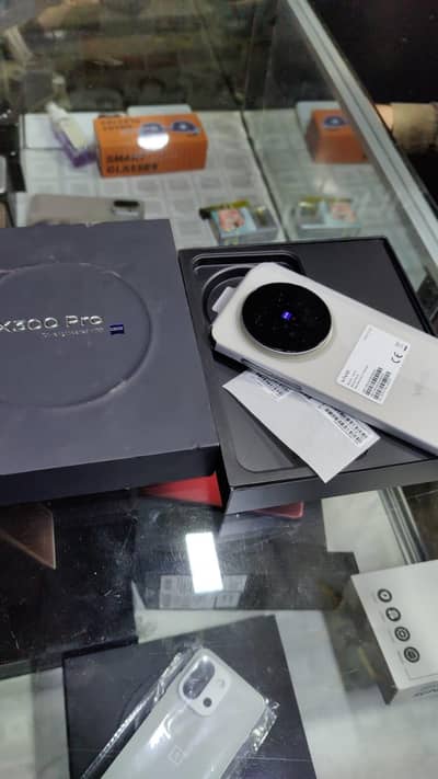 vivo x300 pro 12+512