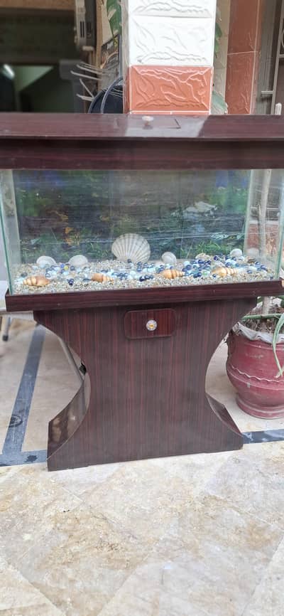 Urgently selling fish Aquarium