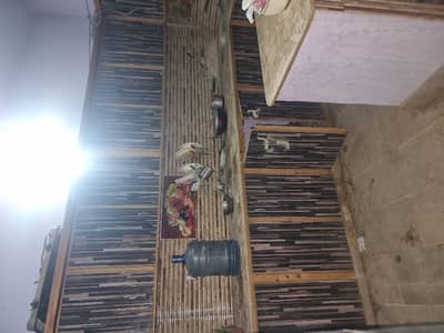 House Of 160 Square Yards Is Available For rent In Model Colony - Malir, Karachi