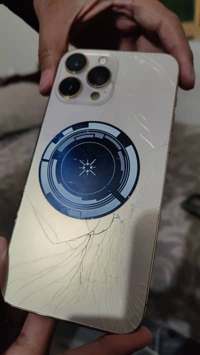 Apple iPhone 13 Pro Max