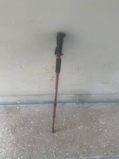 Hiking stick