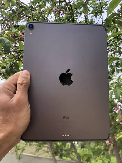 IPAD PRO (11-inch)256Gb Cellular Variant