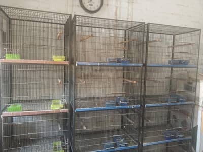 cages for sale