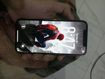 Apple iPhone 12 Pro Max