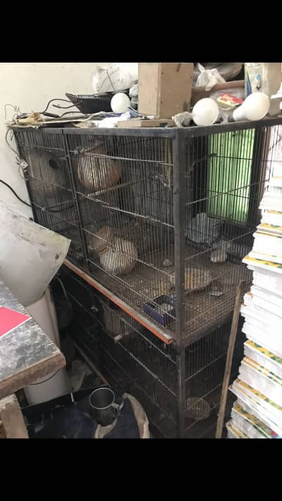 Heavy iron cage for sale