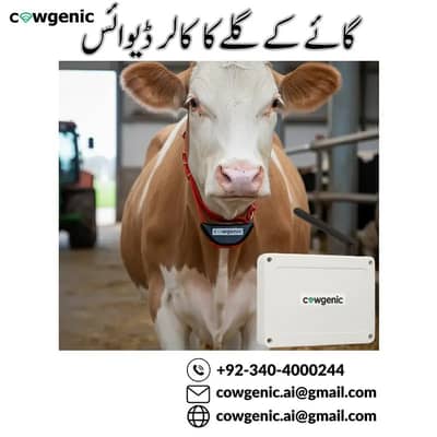 Smart Cow Collar | GPS Tracker for Cows | Cow Neck Collar