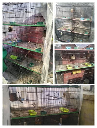 Affordable Used Pet Cages – Islamabad