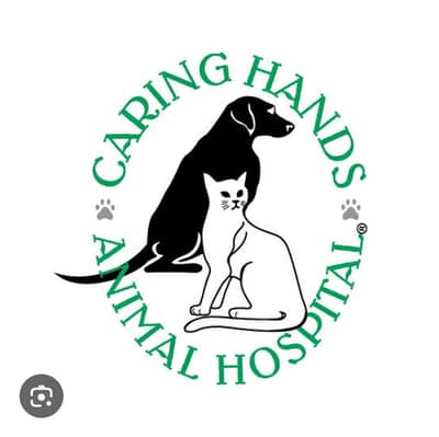 standing dog caring