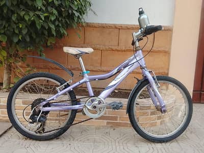 Giant imported cycle - 20 size - 0320-2257-271