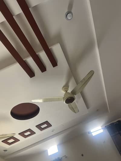 Room fan