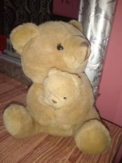 teedy Bear