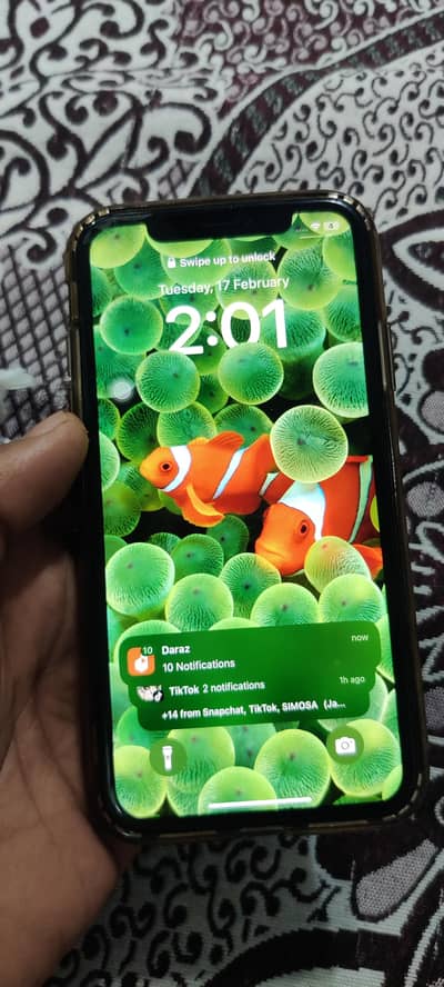 pta approved official