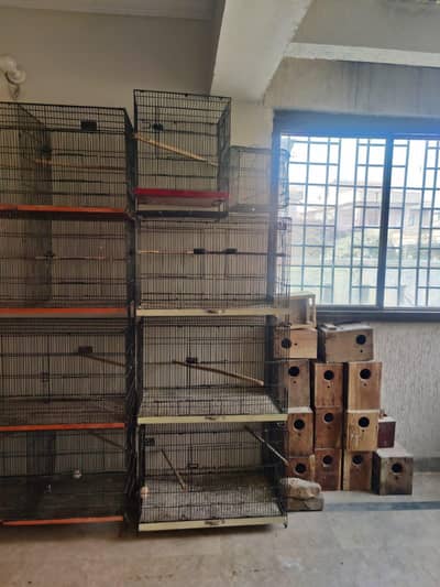 cages nesting box and accessories